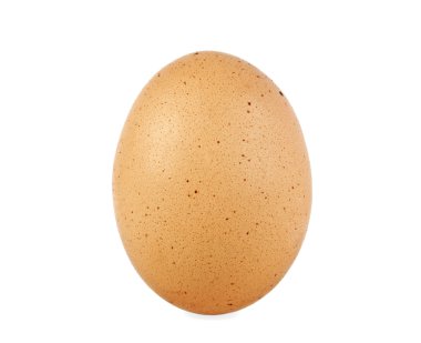 Beyaz arkaplanda yumurta izole