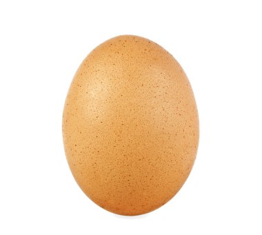 Beyaz arkaplanda yumurta izole