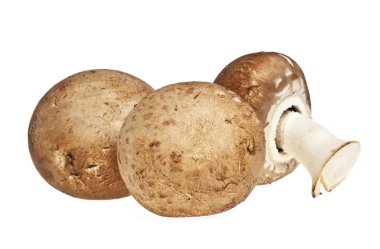 Beyaz arka plan üzerinde kahverengi petrol mantar