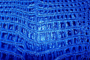 Timsah derisi doku arkaplanı