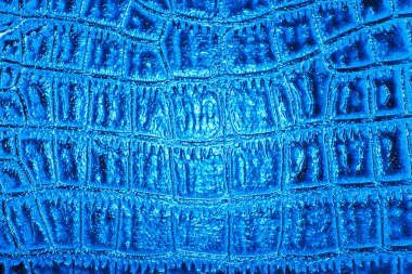 Timsah derisi doku arkaplanı