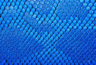 Deri yılan, arka plan olarak kullanabilirsiniz