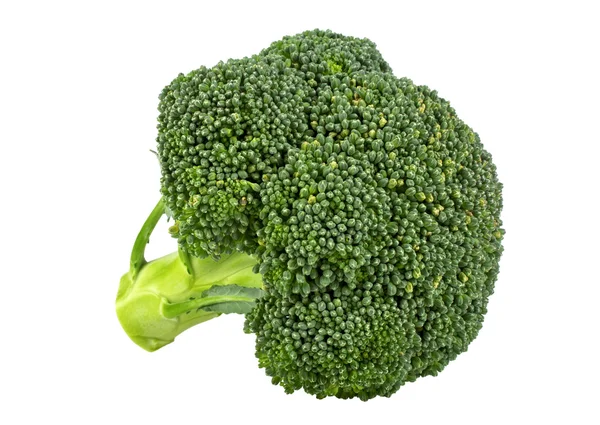 Frischer Brokkoli isoliert auf weißem Hintergrund — Stockfoto