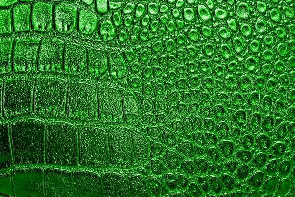 Timsah derisi doku arkaplanı