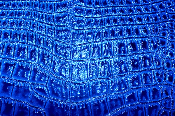 Timsah derisi doku arkaplanı