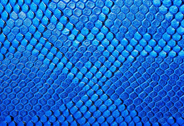 Deri yılan, arka plan olarak kullanabilirsiniz