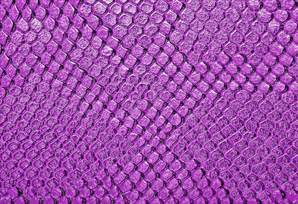 Deri yılan, arka plan olarak kullanabilirsiniz