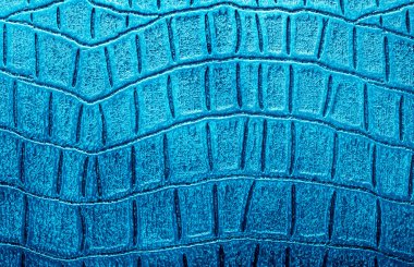 Timsah derisi doku arkaplanı