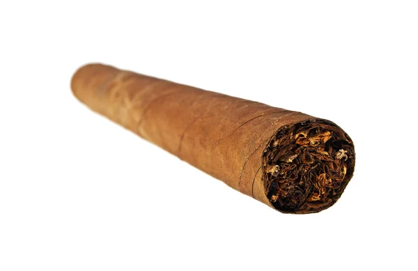 Single cigar isolated on white background — Stock Photo, Image