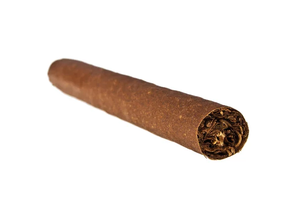 Un solo cigarro aislado sobre fondo blanco —  Fotos de Stock