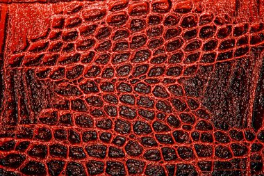 Kırmızı timsah desenli arka plan