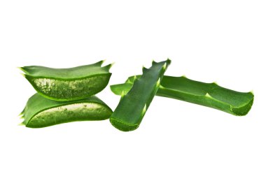 aloe vera yaprağı dilim beyaz zemin üzerine izole