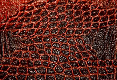 Kırmızı timsah desenli arka plan