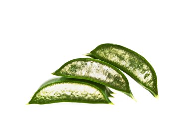 Taze aloe vera beyaz zemin üzerine dilimlenmiş