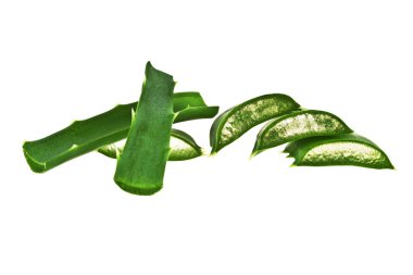 aloe vera yaprağı dilim beyaz zemin üzerine izole