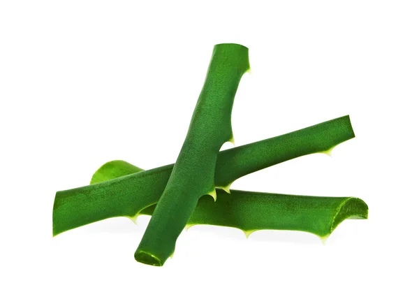 Aloe vera färska blad isolerad på vit bakgrund — Stockfoto