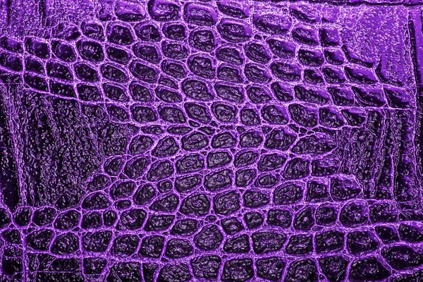 piel de cocodrilo textura fondo 2023