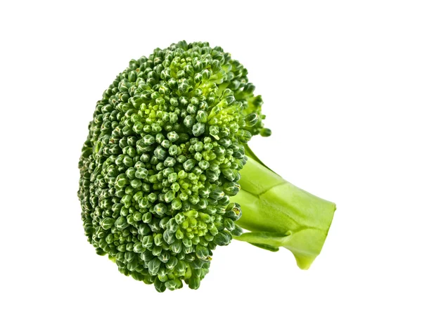 Färsk broccoli isolerad på vit bakgrund — Stockfoto