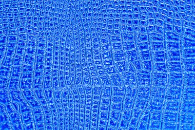 Timsah desenli arka plan olarak