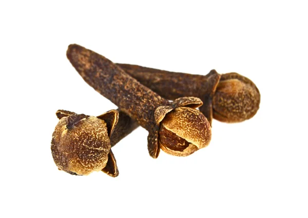 Spice cloves isolated on white background — Stock Photo, Image