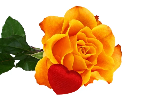 Orange rose and red heart isolated on a white background — Stock Photo, Image