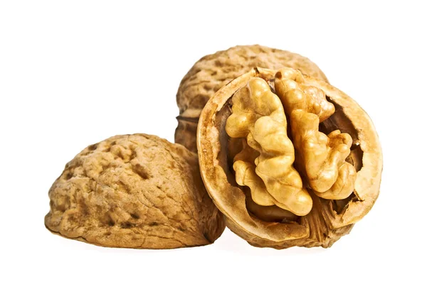 Nueces secas aisladas sobre fondo blanco — Foto de Stock