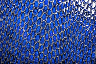 Mavi yılan deri arka plan