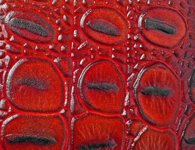 kırmızı timsah deri doku arka plan