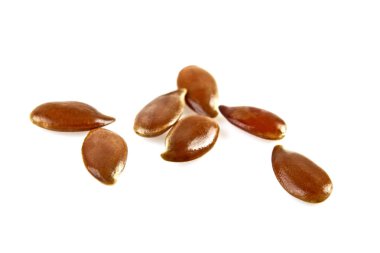 keten tohumu beyaz zemin üzerine izole kapatmak