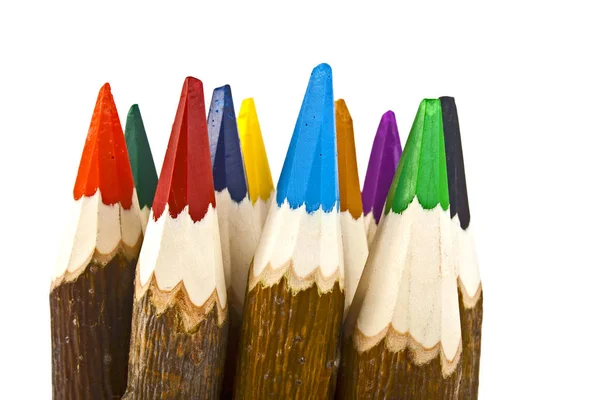 Grupp av bark doldt filial mångfärgade pennor isolerad på wh — Stockfoto