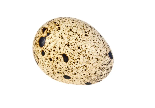 Quail egg on a white background — Stock Photo, Image