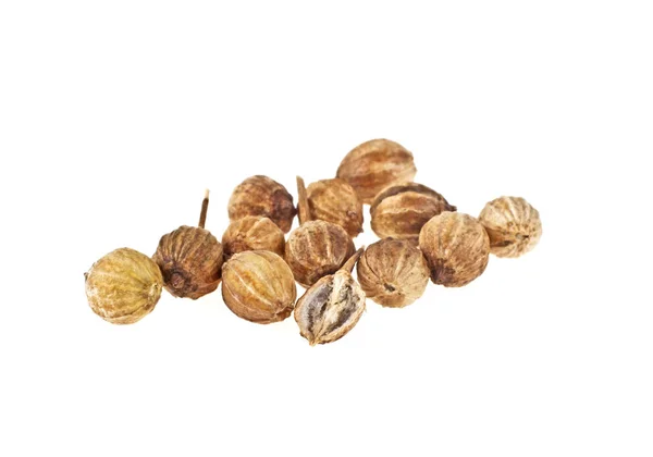 Coriander seeds isolated on white background — Stock Photo, Image