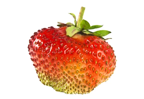 Zahradní jahody izolovaných na bílém pozadí — Stock fotografie