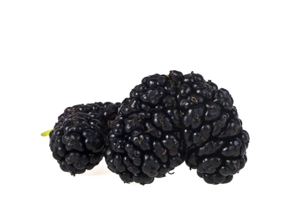 Mulberry isolated on a white background — Stock Photo, Image