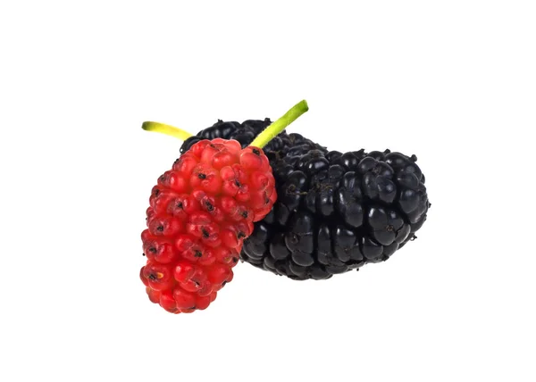 Mulberry isolated on a white background — Stock Photo, Image