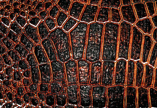 Textura de couro de jacaré escuro, pode usar como fundo — Fotografia de Stock