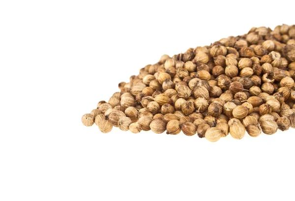 Coriander seeds isolated on white background Stock Image