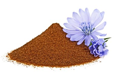 Mavi hindiba çiçek ve anlık hindiba üzerinde izole toz bir 