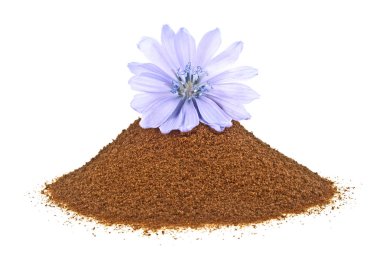 Mavi hindiba çiçek ve anlık hindiba üzerinde izole toz bir 