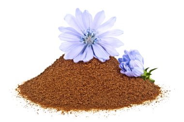 Mavi hindiba çiçek ve anlık hindiba üzerinde izole toz bir 