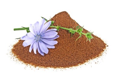 Mavi hindiba çiçek ve anlık hindiba üzerinde izole toz bir 