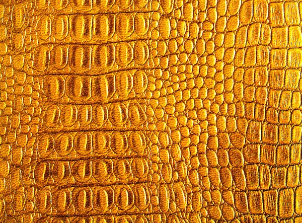Crocodile cuir doré, comme fond — Photo
