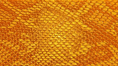 Kahverengi yılan derisi, arka plan olarak kullanabilirsiniz