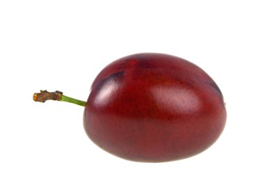 Beyaz arkaplanda erik izole edilmiş