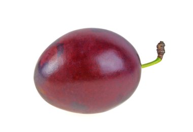 Beyaz arkaplanda erik izole edilmiş