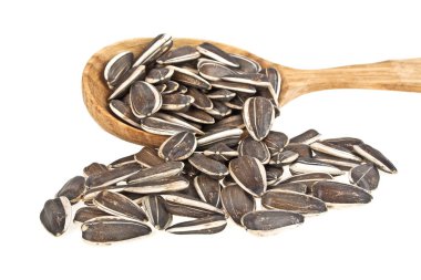 Ayçiçeği tohumları üzerinde beyaz bir arka plan üzerinde tahta kaşık