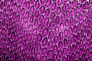 Deri yılan, arka plan olarak kullanabilirsiniz