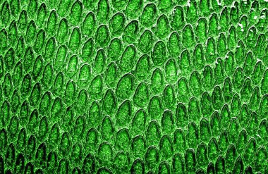 arka plan veya doku için mor yapay kürkYeşil piton yılan deri doku arka plan