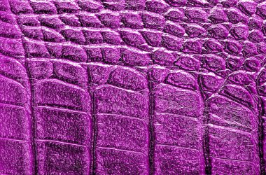 Menekşe timsah desenli arka plan