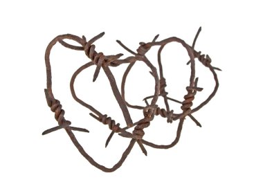 Paslı dikenli tel beyaz arka plan üzerinde